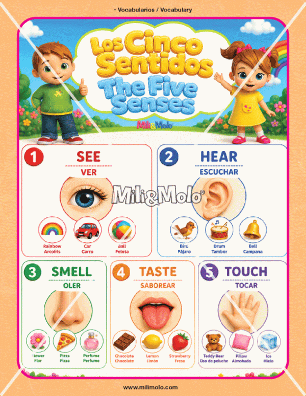 CHART_FIVE SENSES