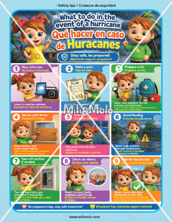 CHART_SAFE TIP_HURRICANE